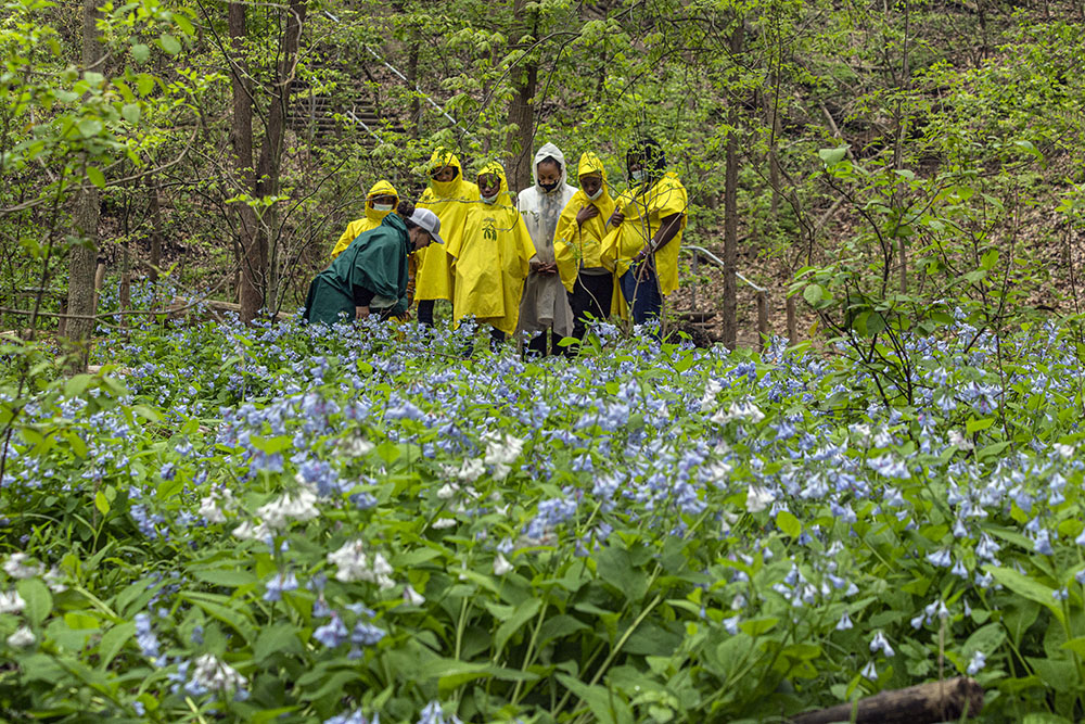 Only about half of Riverside Park's 25.4 acres is left natural, but it's enough to have motivated the Urban Ecology Center to locate it's flagship branch there and use it as an outdoor classroom for thousands of Milwaukee schoolchildren who would otherwise have little opportunity to experience nature.