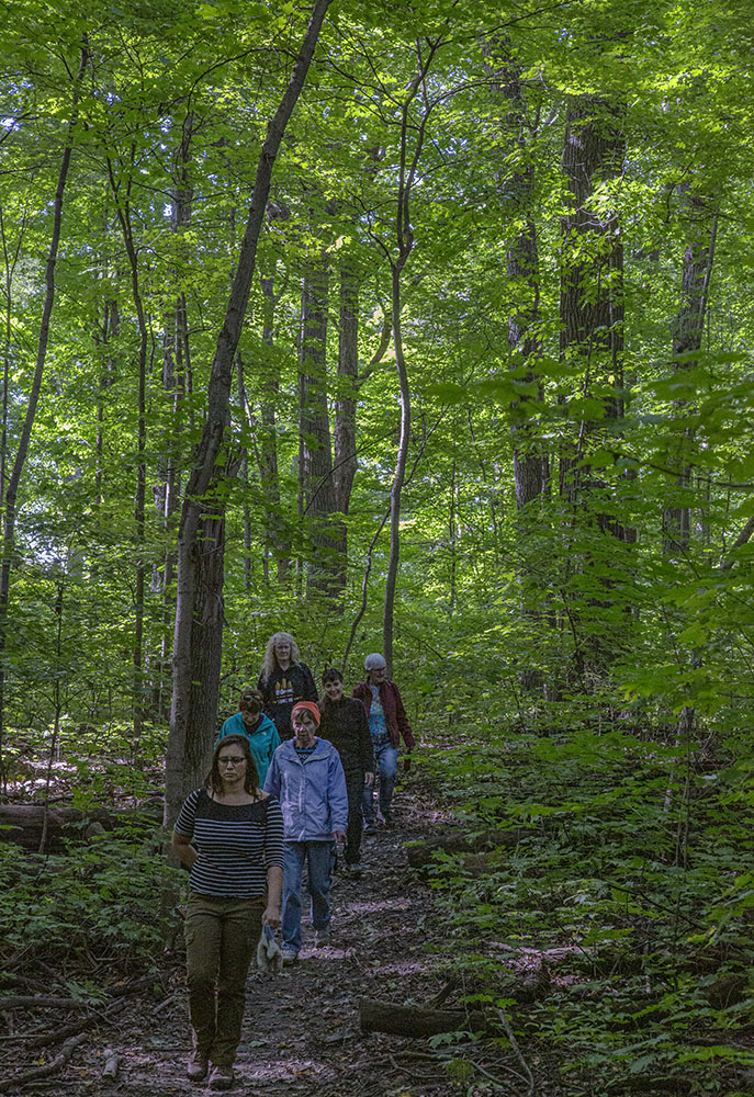 The 42-acre Cudahy Nature Preserve in Oak Creek is one of three State Natural Areas in Milwaukee County, as designated by the WI DNR. The designation protects "outstanding examples of Wisconsin's native landscape of natural communities."