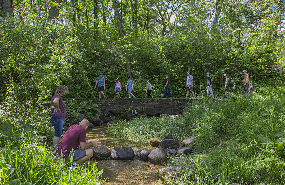 The trail runs across the stone wall bracing the headwaters spring of the Scuppernong River. 