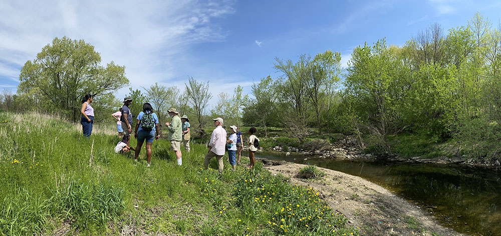 A group gathered in the Lincoln Creek Greenway