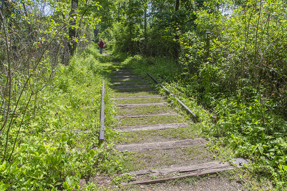 A section of the historic railroad left in place when it was converted into a trail.