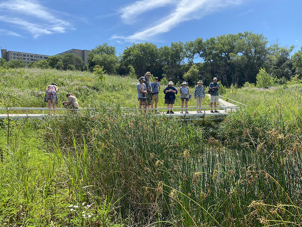 The tour group on the boardwalk overlooking a wetland pond. 