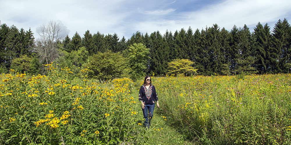 Artist in Residence Deb Mortl at Spirit Lake Preserve