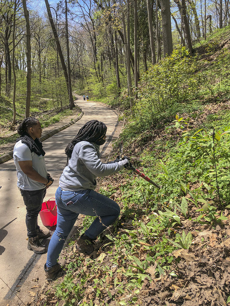 Martell Murdock and Aniyah Johnson removing invasive Day Lilies from a trailside bluff at Doctors Park.