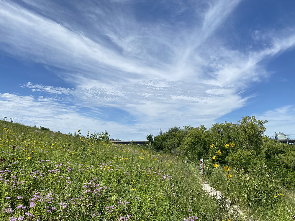 Meditation on our place in the natural world within an urban environment.