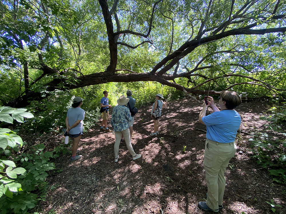 In the shade of a tree arching over the trail, Land Steward Jeff Veglahn describes the ecology in the park. 