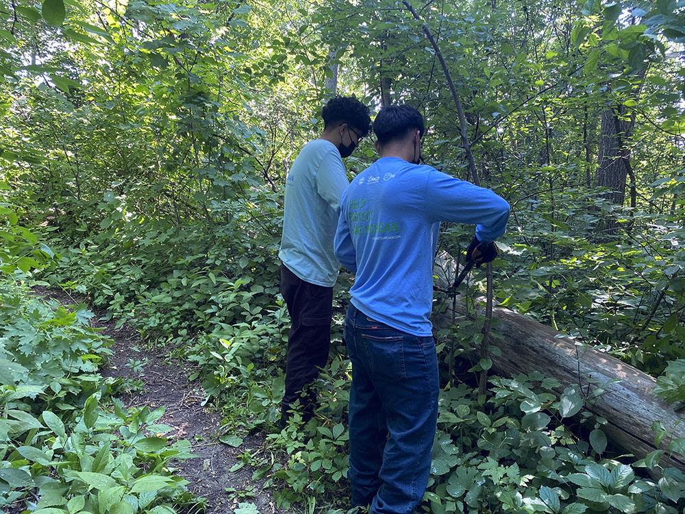 Joaquin and Jose help maintain the Forked Aster Trail in Jackson Park.