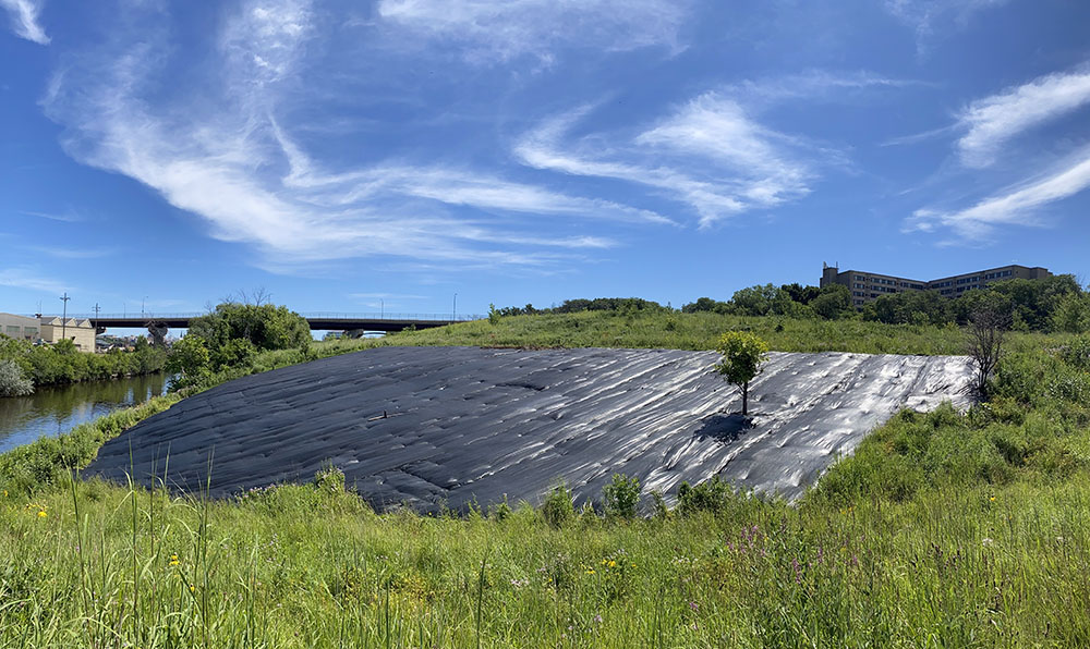 The plastic fabric was placed on this hill to control, and kill, purple crown vetch that became too wide spread for chemical control. The smothering fabric will remain until next spring when spot herbicide treatments will be used on emerging invasive seedlings for a full growing season. After that native seed will be spread.

