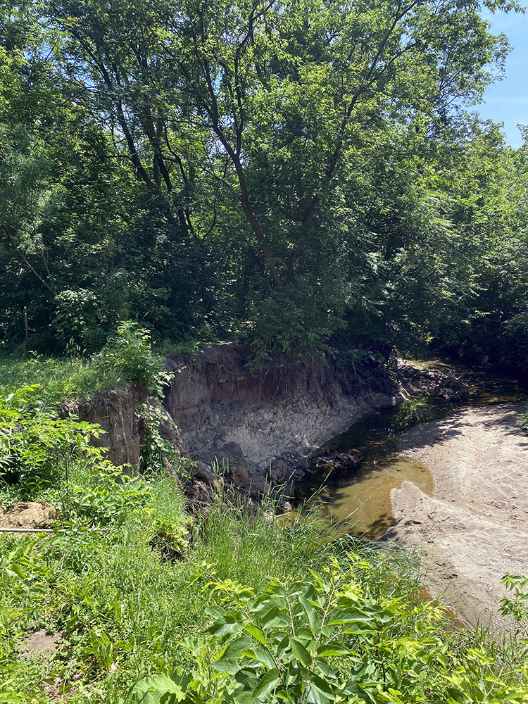 Crew members learned about stream bank erosion and destruction of riparian zones (vegetated areas along waterways).