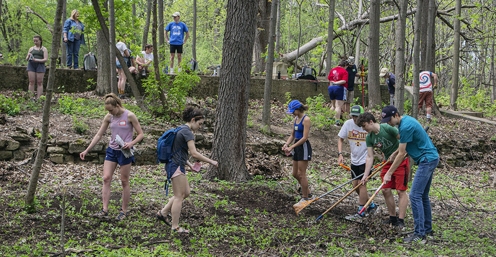 Group seeding Sunken Gardens area of Sanctuary Woods with wildflower seeds