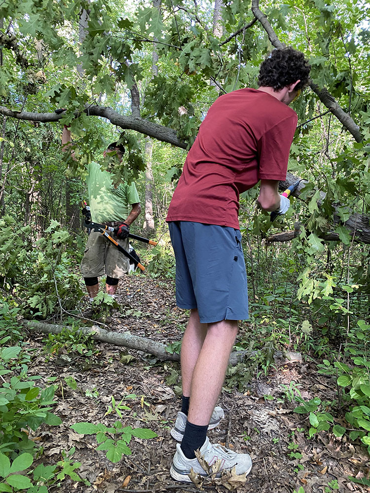 Volunteers help clear fallen trees and brush from the Forked Aster Trail in Wyrick Park. 