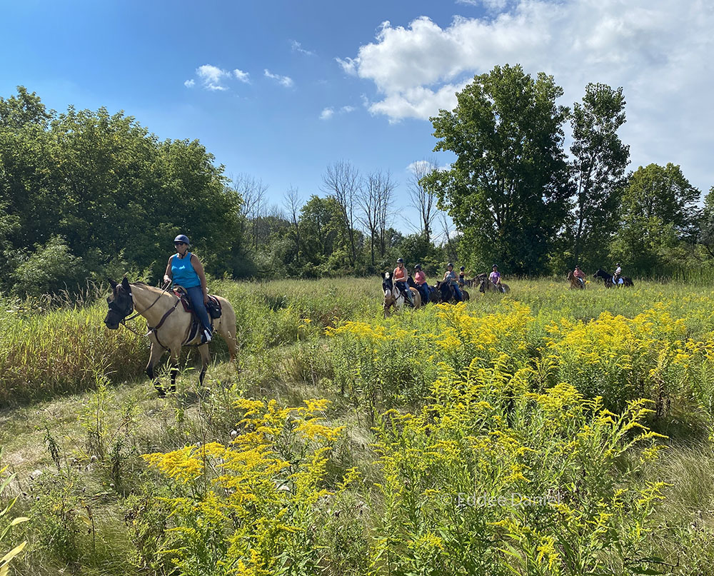 The prairie trail at King's Corner Preserve.