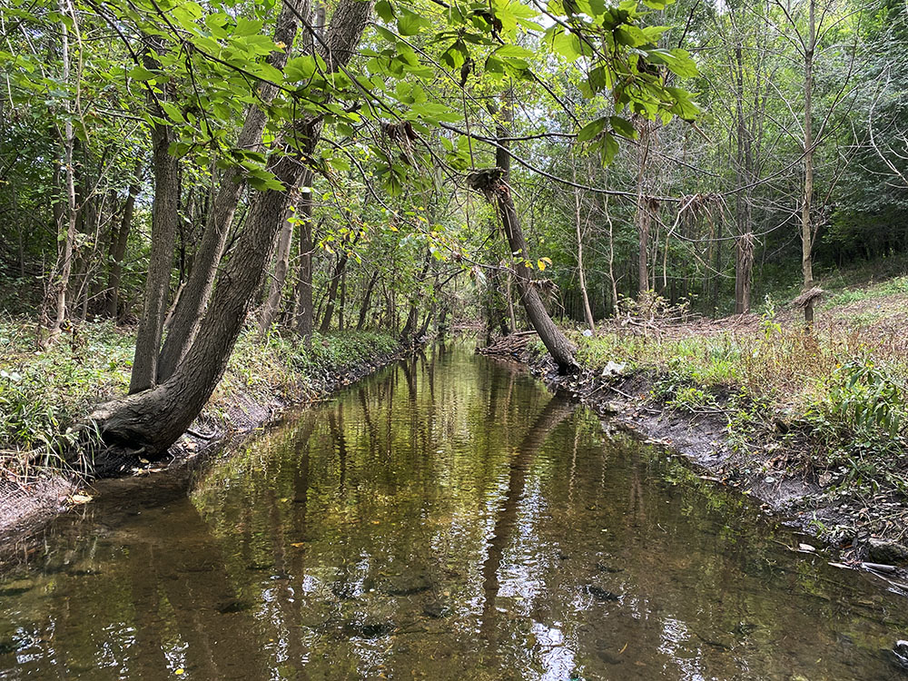 There was no trail along Lincoln Creek to make for an easy walk.