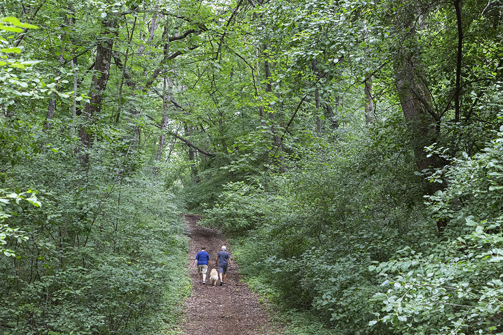 Dog walkers on trail, Lois Jensen Preserve