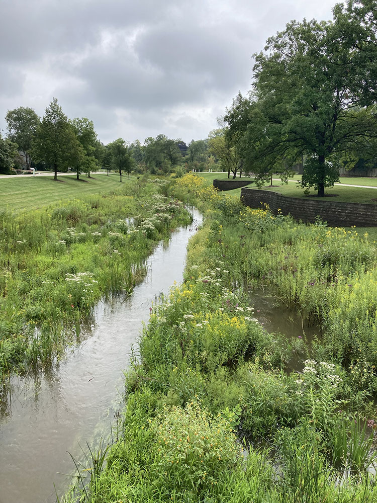 An eastward view of Indian Creek after a morning rain.