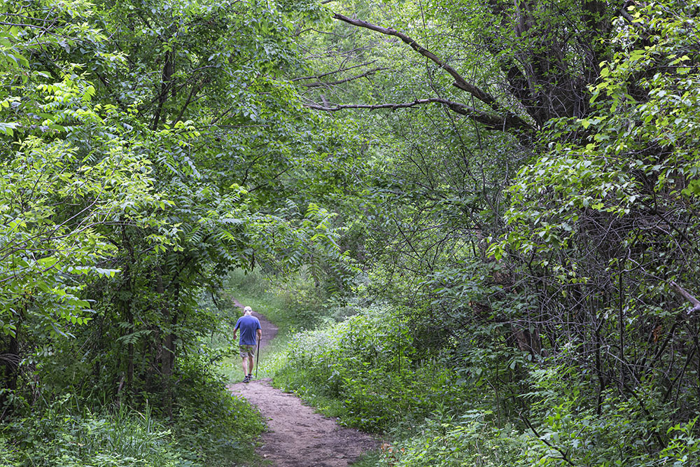 A solitary hiker, Nature Hill Nature Center