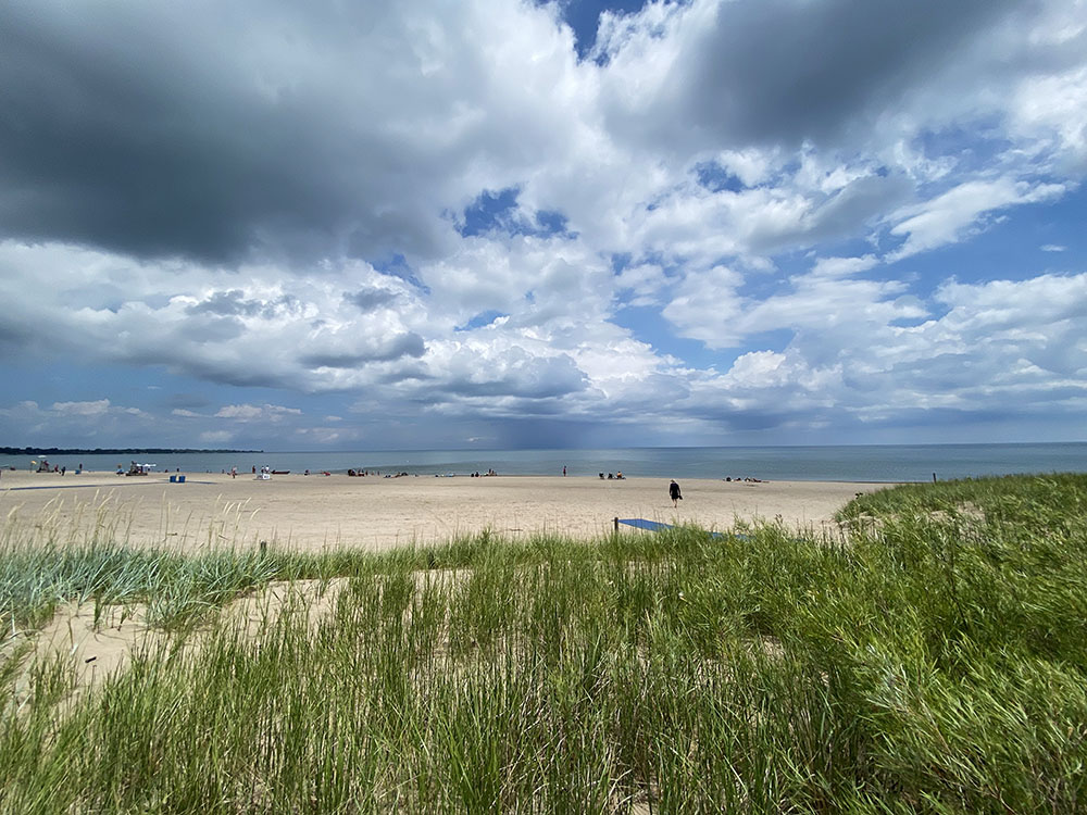 Dunes were laboriously planted and nurtured to help protect the beach, North Beach