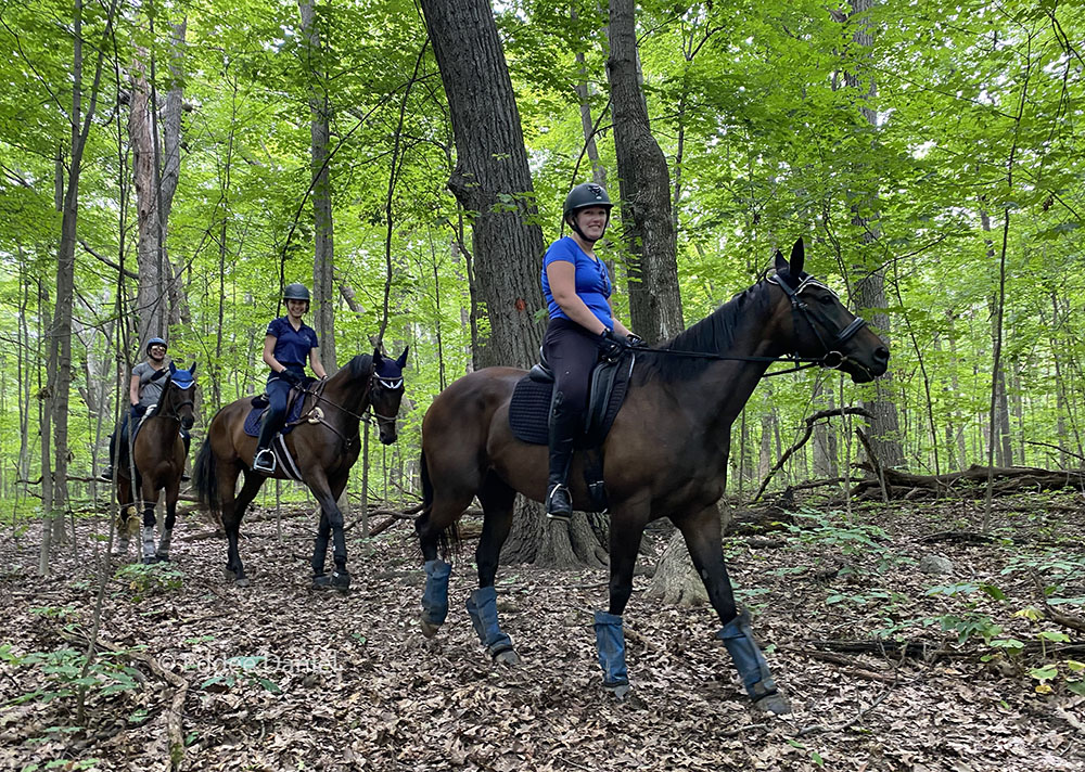 A trio on the loop trail through Tabor Woods Preserve.