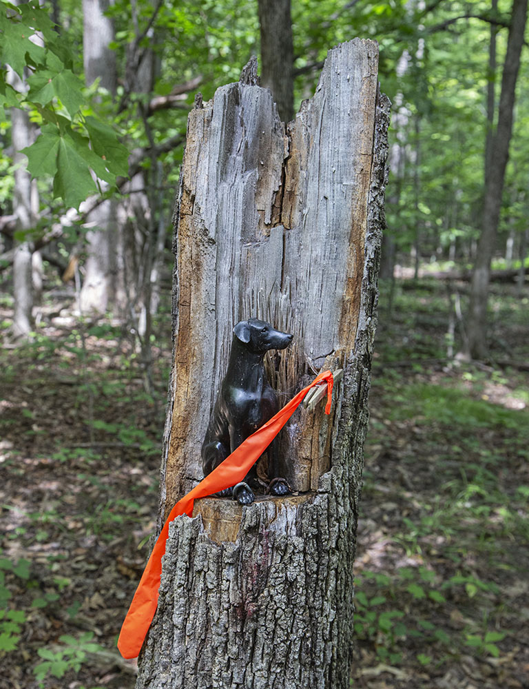 Scavenger hunt item in the woods at Erlandsson Preserve.