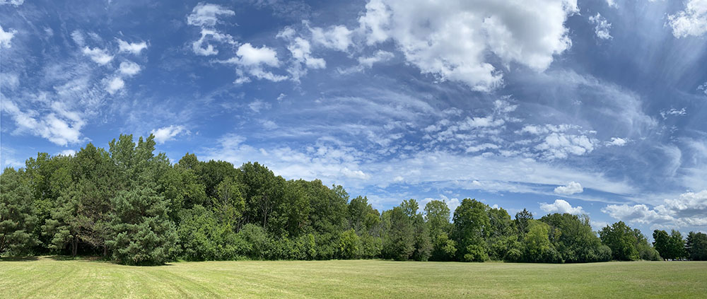 Wyrick Park's 17+ acres are mostly lawn, but adventure begins at the tree line!