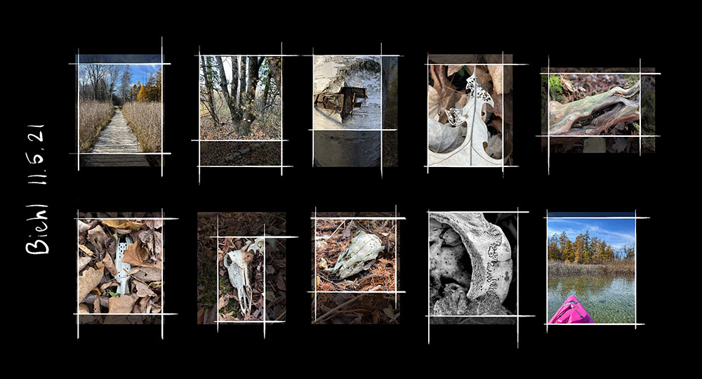 Work in progress from Biehl Nature Preserve: digital photography proofs.