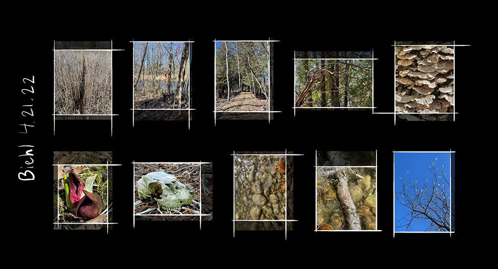 Work in progress from Biehl Nature Preserve: digital photography proofs.