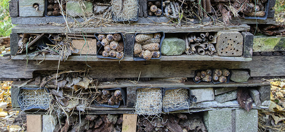 Bug Hotel close up