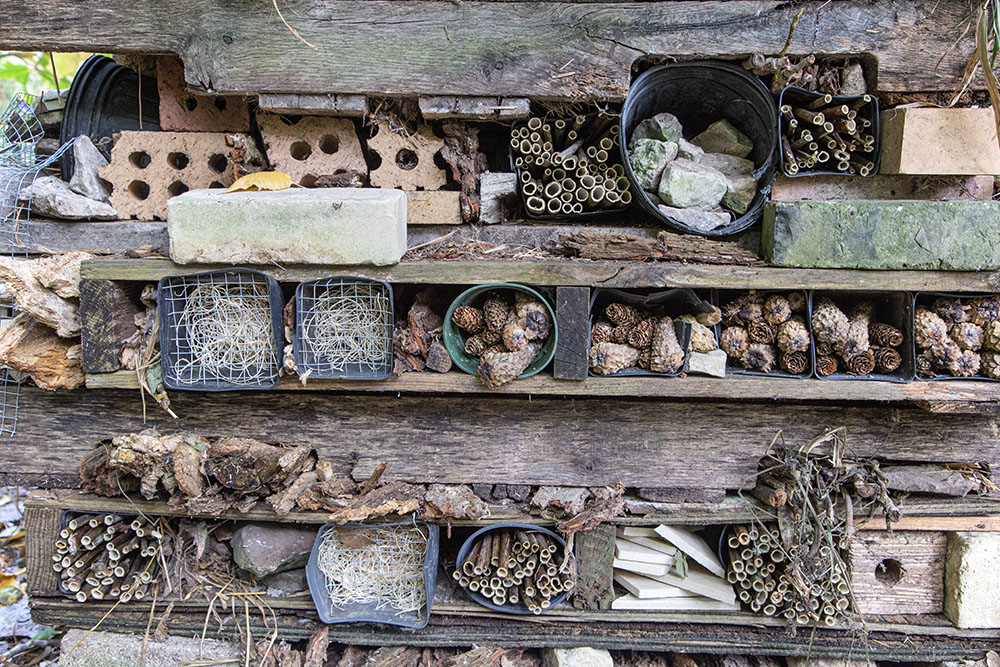 A detail of the bug hotel showing the variety of "rooms" specially designed to attract specific species. ED