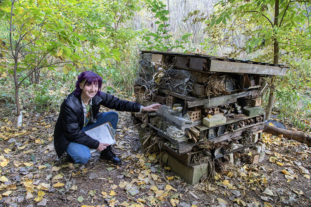 The author with the completed bug hotel.