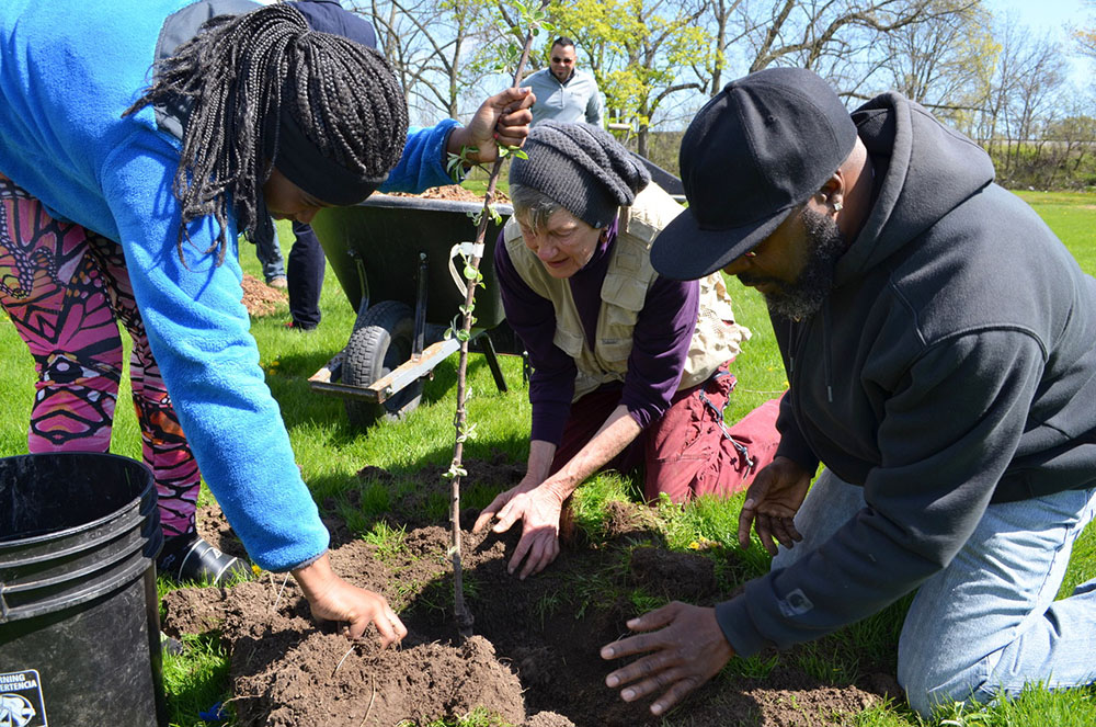 Volunteers planting the orchard in 2017