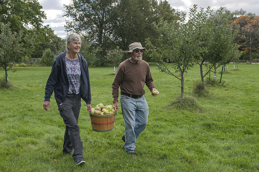 Jan and Peter with a load of newly picked apples.