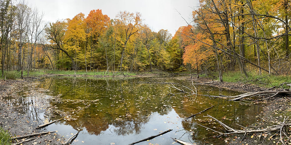 Finding a kettle in the Kettle Moraine State Forest!