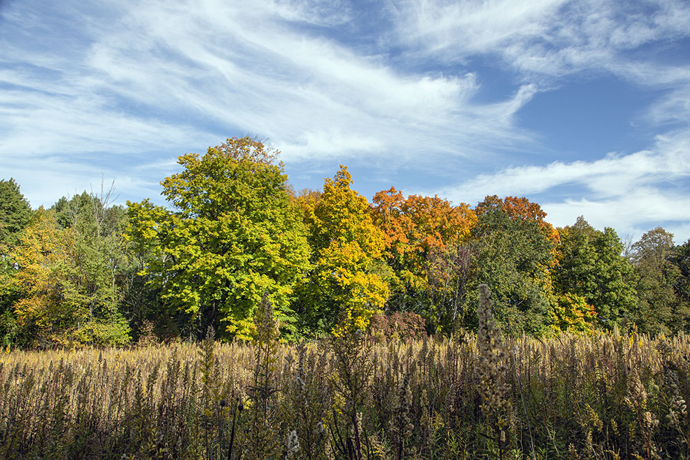 A layered landscape. 