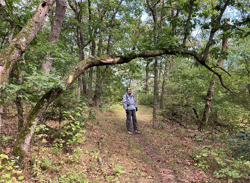 The author's husband stopped under a tree marked with the yellow blaze of the Ice Age Trail.