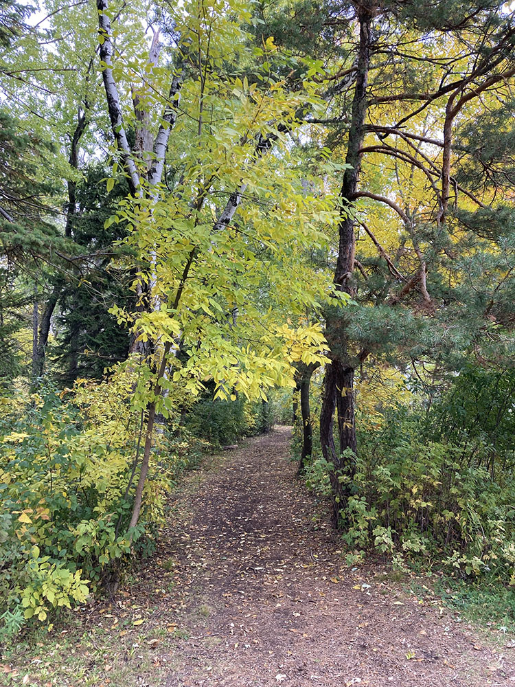 A trail leads north along the bluff 