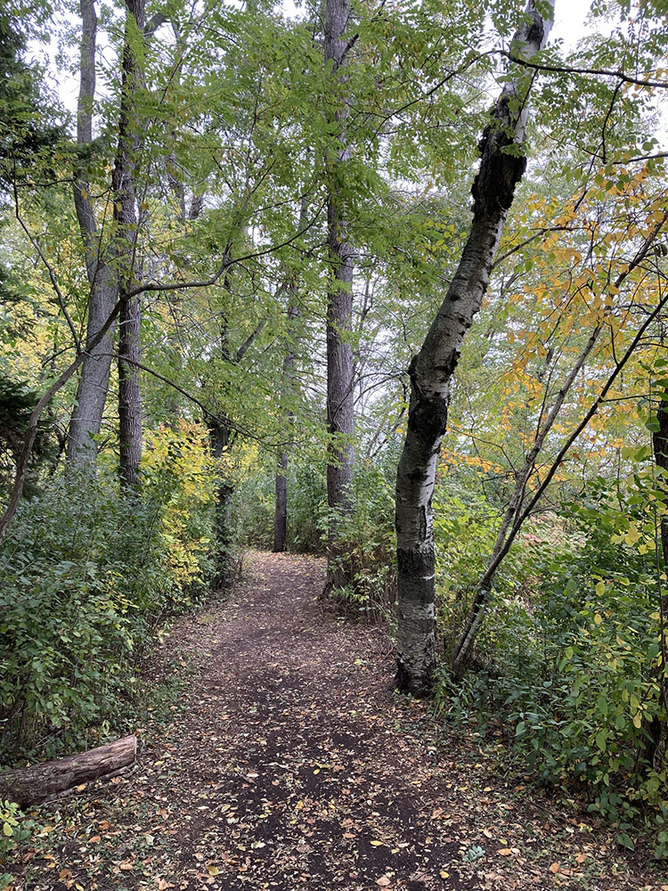 It turns to follow the northern perimeter of the park 