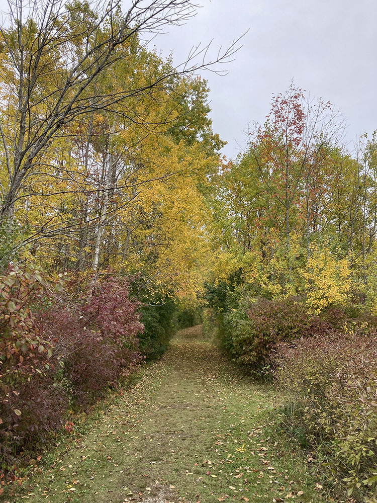 Looking east on the same northernmost trail. 