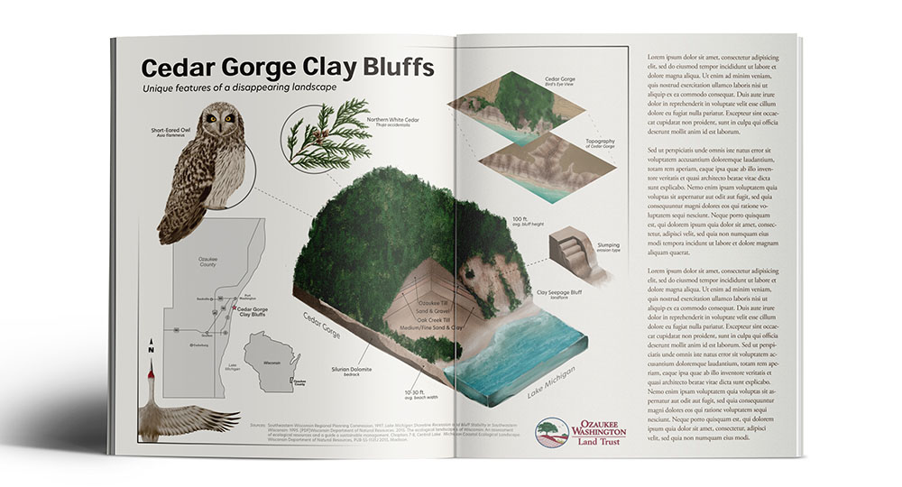 Ozaukee Washington Land Trust Information: Data Visualization, Procreate & Illustrator.