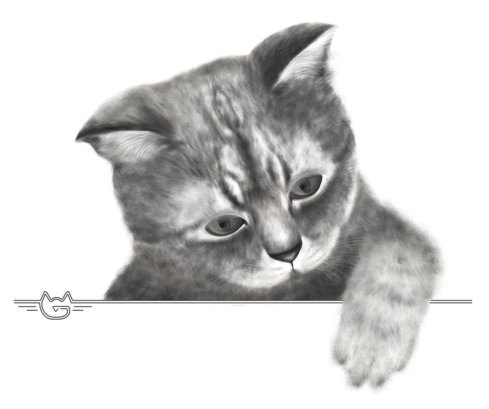 Ozaukee Cat: Digital Illustration, Procreate.