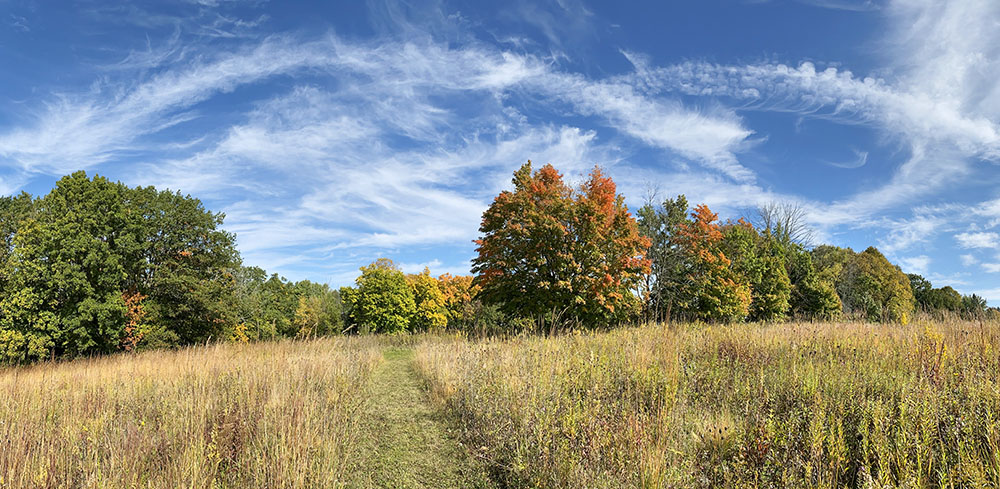 Panorama of prairie and sky.