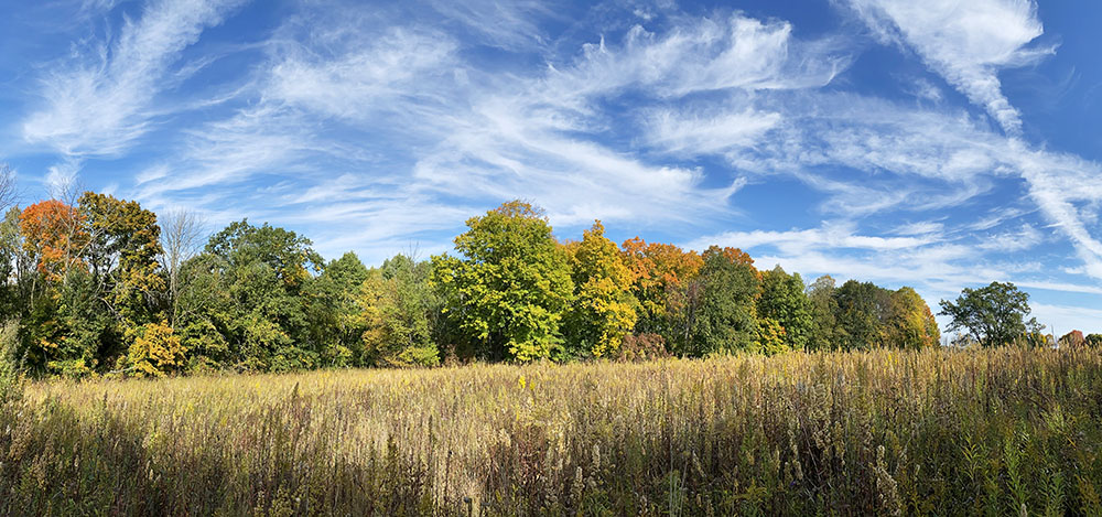 Autumn colors at Joan M. Pick Nature Preserve