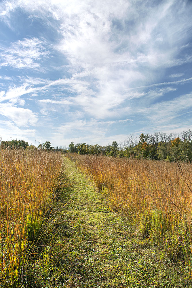 Prairie path and dramatic sky.