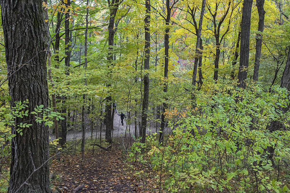 Looking down from a switchback on the trail below.