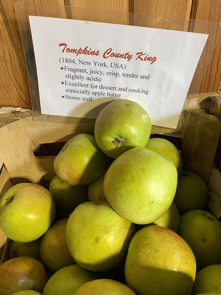 Tompkins County Kings for sale in the barn