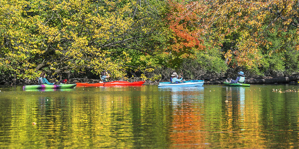 kayaks on the Root River in autumn