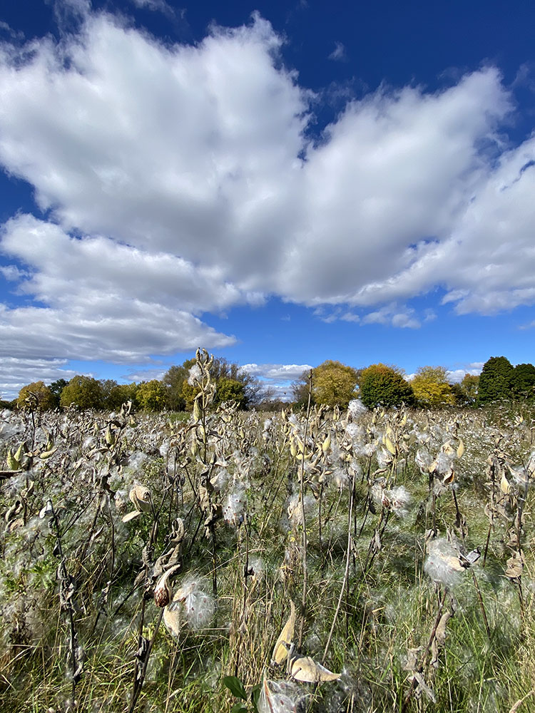 Fox River Parkway, Waukesha County