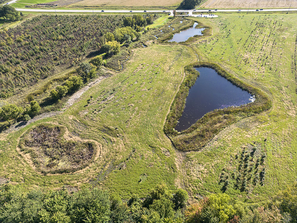 The small wetland pond in the lower left corner of this view was created in the shape of a salamander to symbolize the importance of this species. 