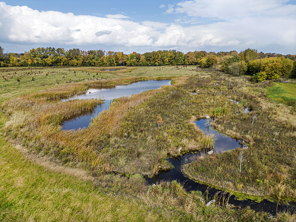 Little Menomonee River and wetland. 