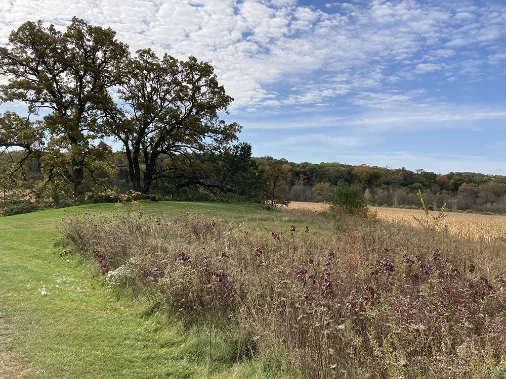 This view greets visitors near the park's main trailhead.