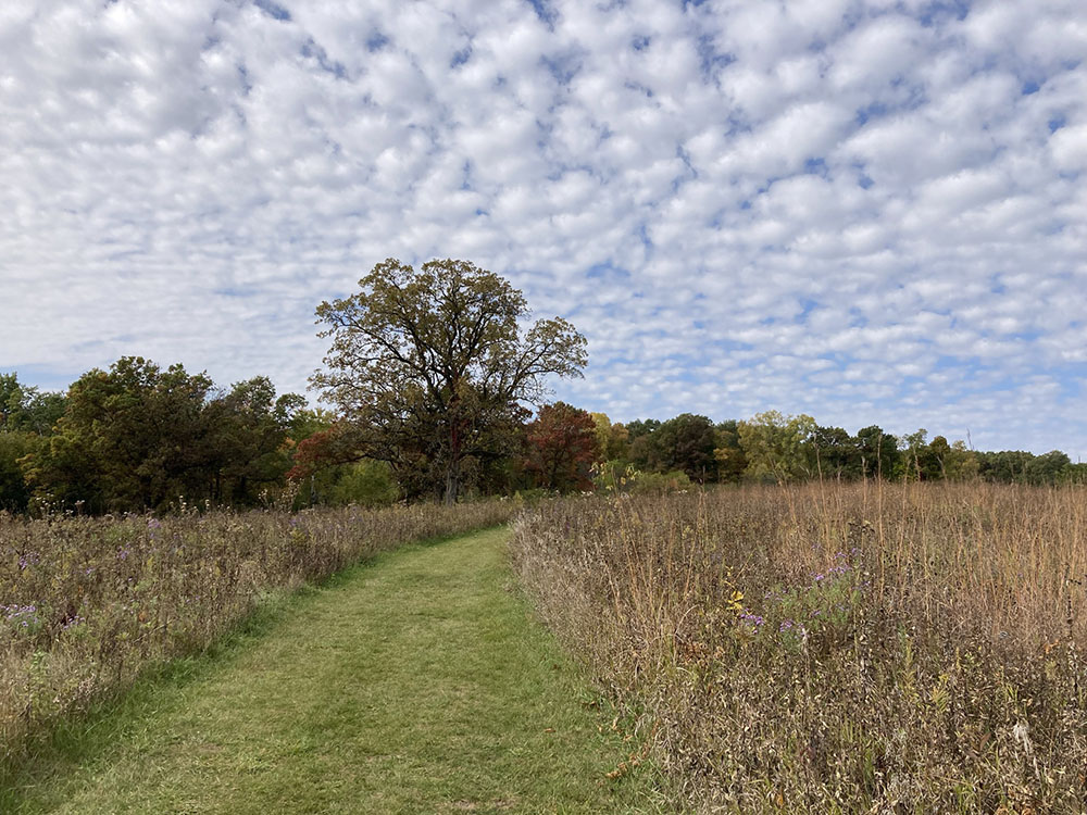 An upland trail traverses prairie